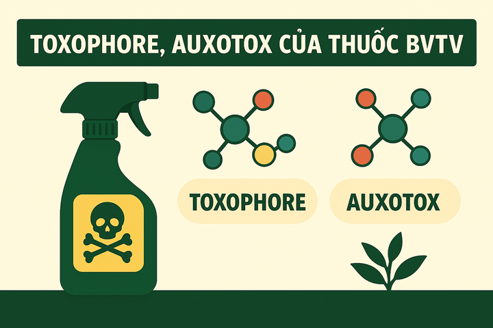 Toxophore, Auxotox của thuốc BVTV