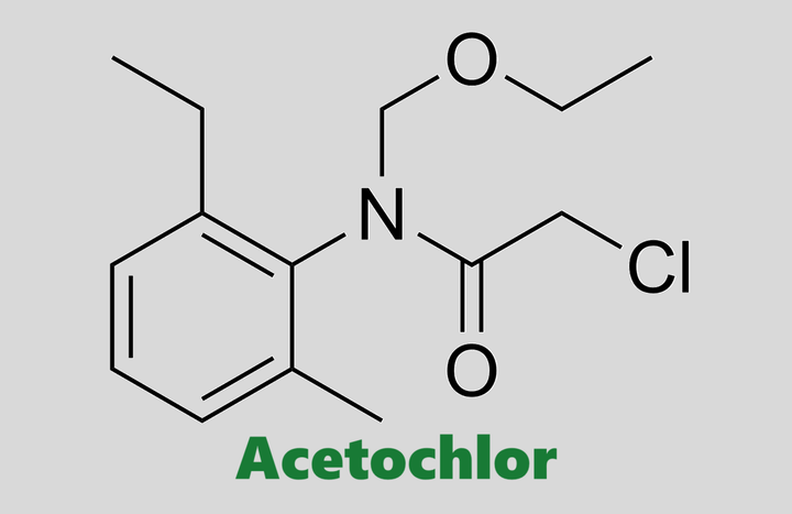 Hoạt chất trừ cỏ Acetochlor