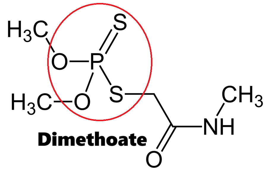 Hoạt chất trừ sâu Dimethoate