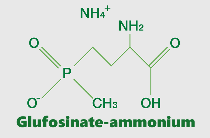 Hoạt chất trừ cỏ Glufosinate-ammonium