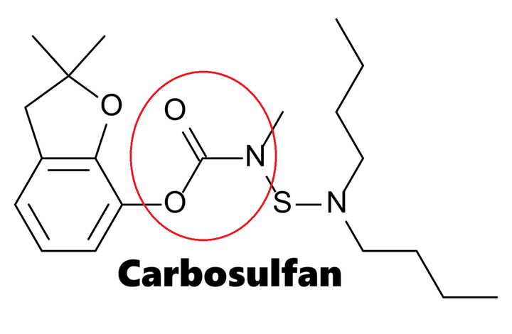 Hoạt chất trừ sâu Carbosulfan