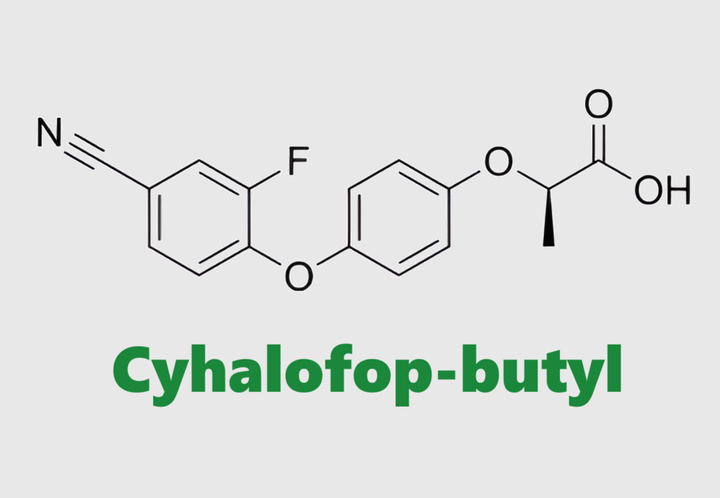 Hoạt chất trừ cỏ Cyhalofop-butyl
