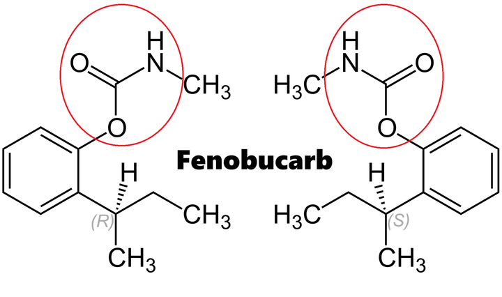 Hoạt chất trừ sâu Fenobucarb