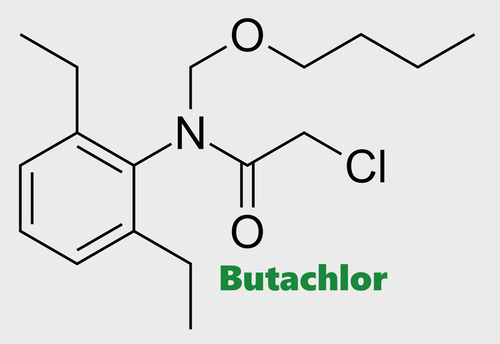 Hoạt chất trừ cỏ Butachlor