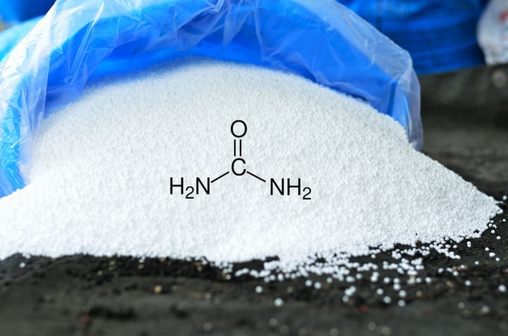 Phân Urea