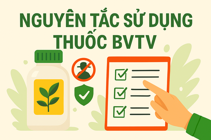 Nguyên tắc sử dụng thuốc BVTV