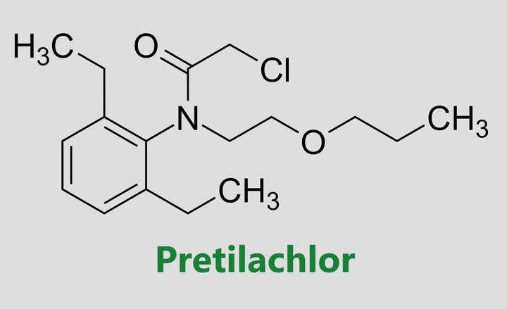 Hoạt chất trừ cỏ Pretilachlor