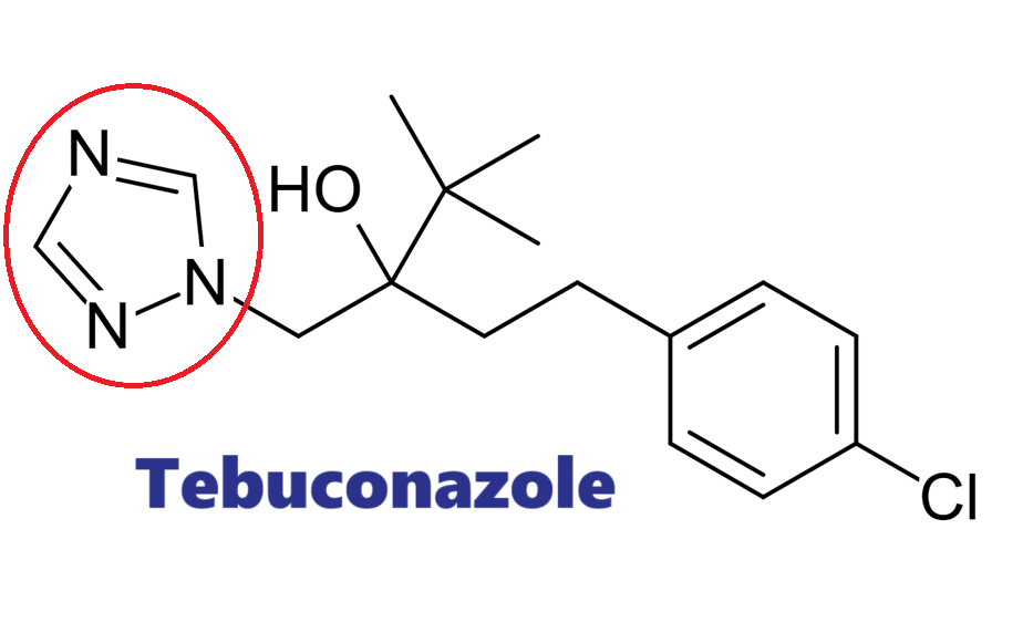 Hoạt chất trừ bệnh Tebuconazole