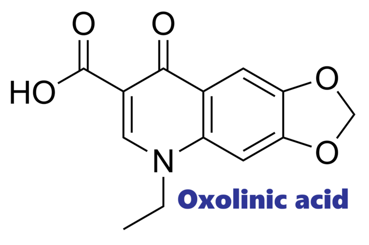Hoạt chất trừ bệnh Oxolinic acid