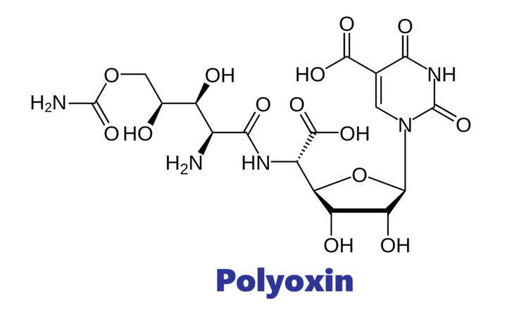 Hoạt chất trừ bệnh Polyoxin