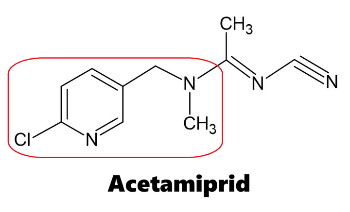 Hoạt chất trừ sâu Acetamiprid