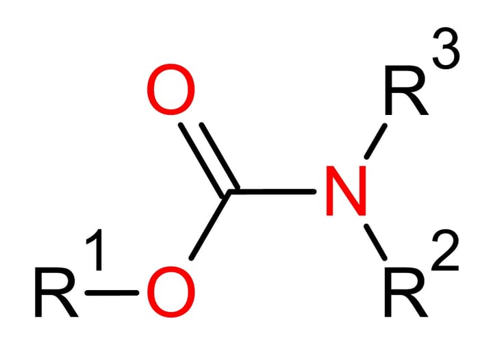 Nhóm thuốc trừ sâu Carbamate