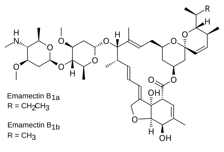 Hoạt chất trừ sâu Emamectin benzoate
