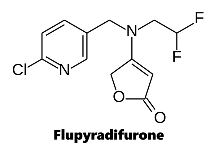 Nhóm thuốc trừ sâu Butenolide (Flupyradifurone)