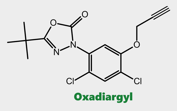 Hoạt chất trừ cỏ Oxadiargyl