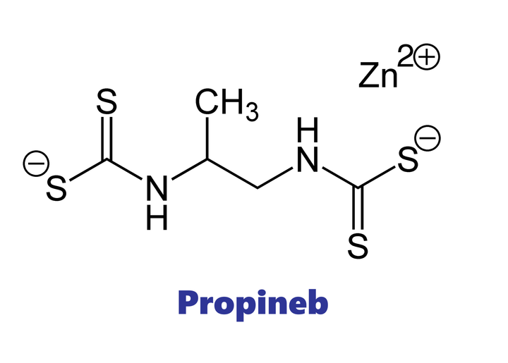 Hoạt chất trừ bệnh Propineb