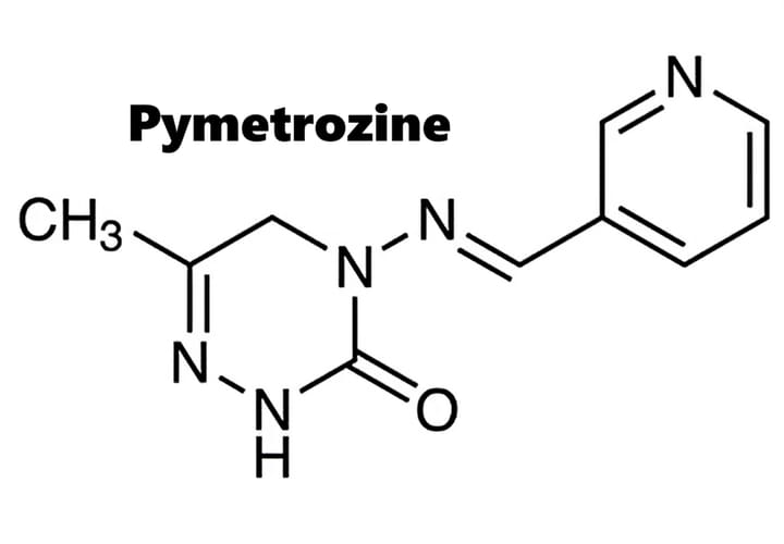 Hoạt chất trừ sâu Pymetrozine