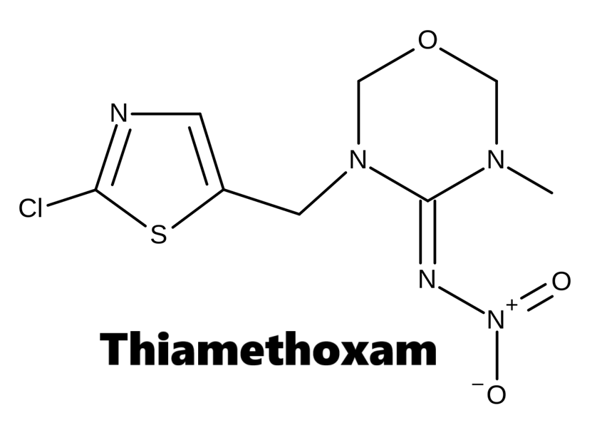 Hoạt chất trừ sâu Thiamethoxam / Clothianidin