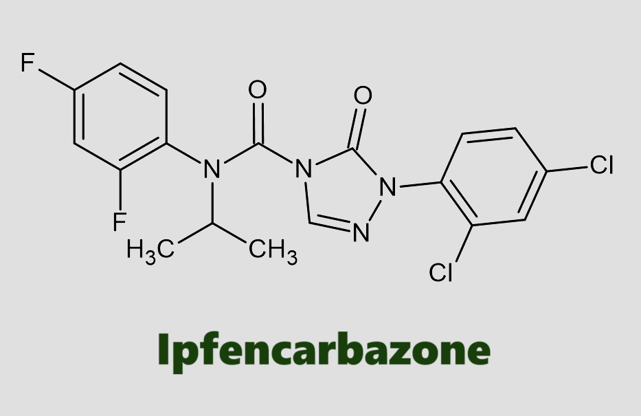 Hoạt chất trừ cỏ Ipfencarbazone
