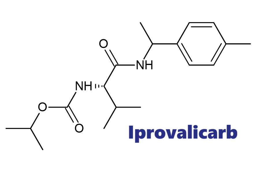 Hoạt chất trừ bệnh Iprovalicarb