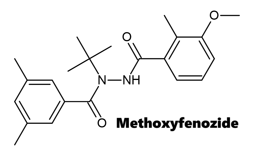 Hoạt chất trừ sâu Methoxyfenozide