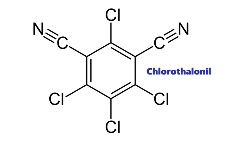 Hoạt chất trừ bệnh Chlorothalonil