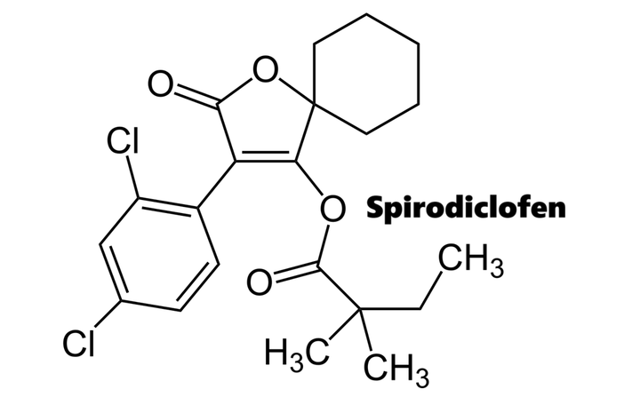 Hoạt chất trừ nhện Spirodiclofen