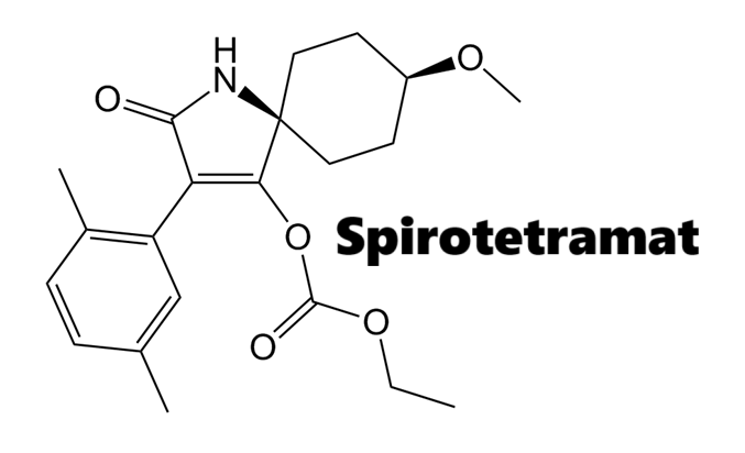 Hoạt chất trừ sâu Spirotetramat