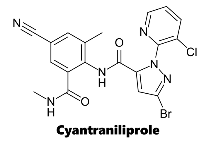 Hoạt chất trừ sâu Cyantraniliprole