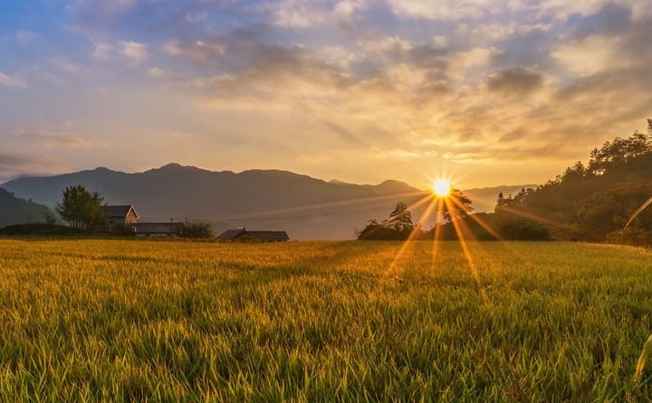 Mặt trời trong nông nghiệp