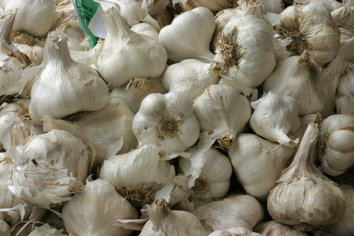 Cây tỏi