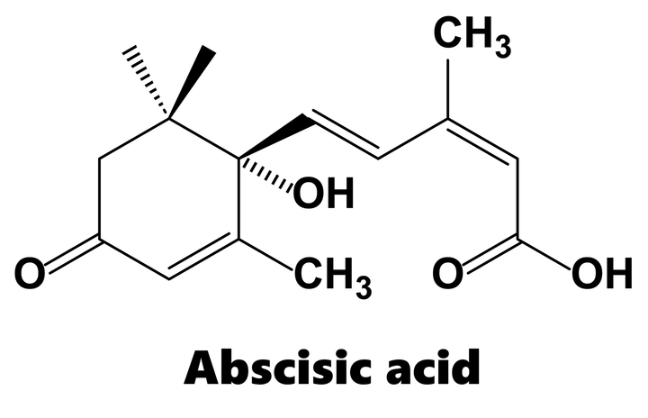 Điều hòa sinh trưởng Abscisic acid