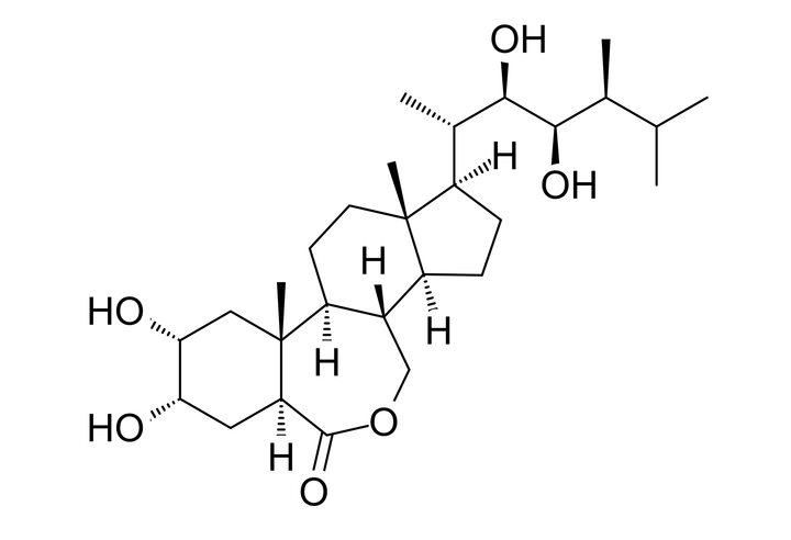 Điều hòa sinh trưởng Brassinosteroid